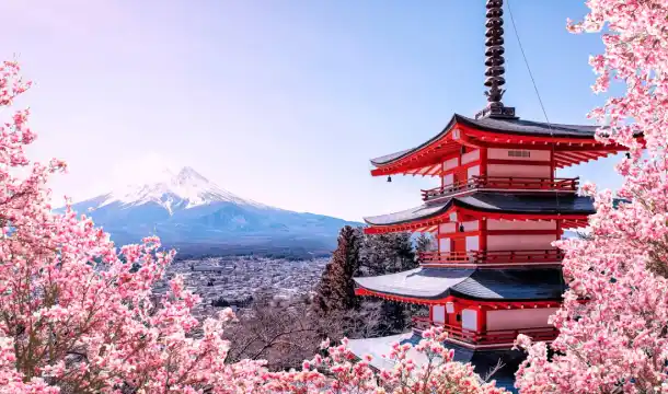 ทัวร์ส่วนตัว ญี่ปุ่น อิบารากิ นิกโก้ โตเกียว 5 วัน 3 คืน